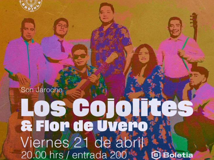 Los Cojolites y Flor de Uvero, brillarán en la capital del Estado