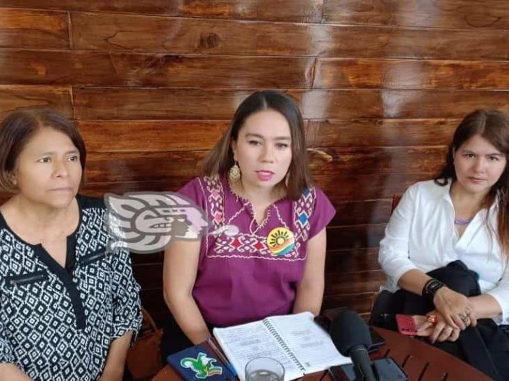 Acusan opacidad en manejo de recursos para atender violencia contra mujeres en Veracruz