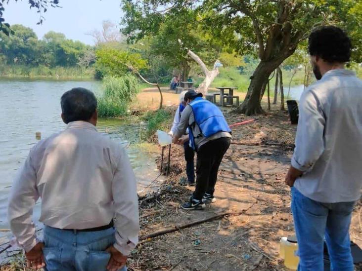 Ayuntamiento de Medellín investiga mortandad de peces en Puente Moreno