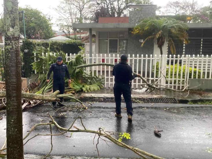 Tromba con fuerte viento y granizada deja afectaciones en seis municipios de Veracruz