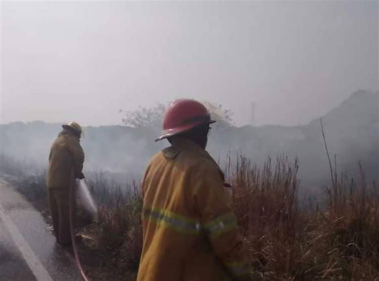 Controlan Incendio De Pastizales En Alvarado