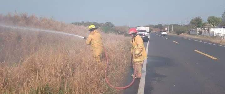 Controlan Incendio De Pastizales En Alvarado