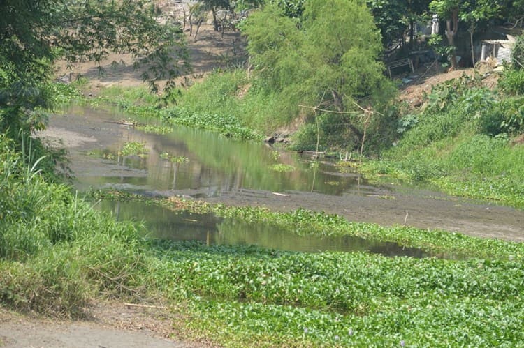 Al tercer mes de estiaje en Veracruz, río Jamapa se encuentra seco