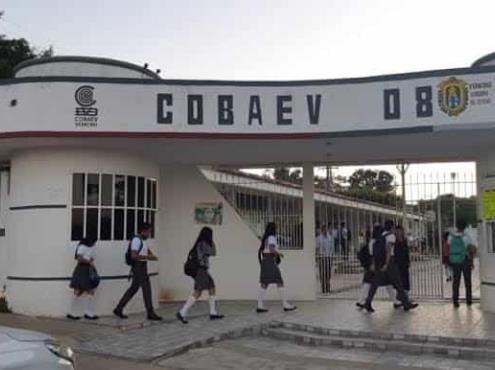 Casos aislados, reportes de acoso escolar en planteles Cobaev