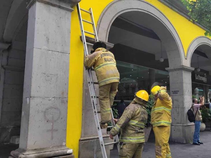 ¿De nuevo? Reportan fuga de gas en Café La Parroquia de Xalapa (+Video)