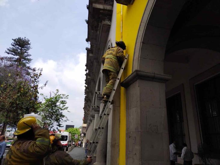 Movilización por reporte de fuga de gas en Café La Parroquia de Xalapa