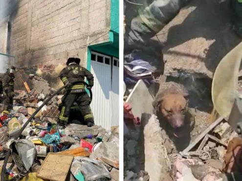 Rescatan entre escombros a lomitos tras una explosión de gas en la alcaldía de Iztapalapa