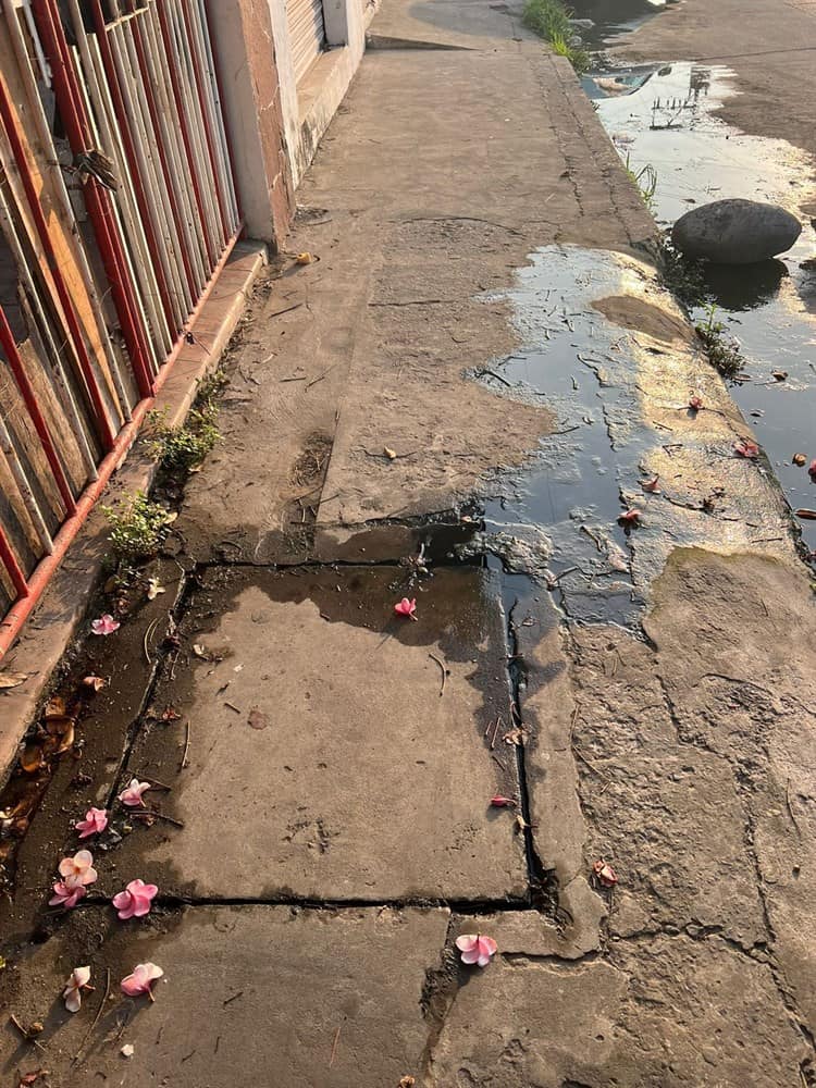 Vecinos se quejan de malos olores por una fuga de aguas negras en calles de Veracruz