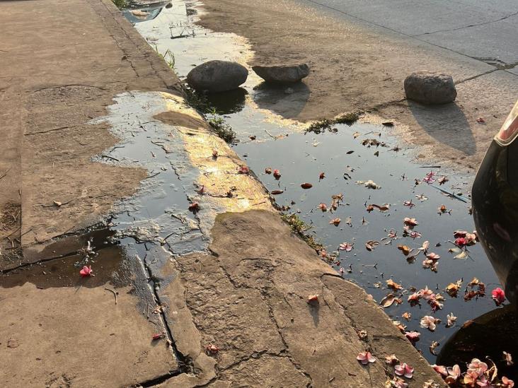 Vecinos se quejan de malos olores por una fuga de aguas negras en calles de Veracruz
