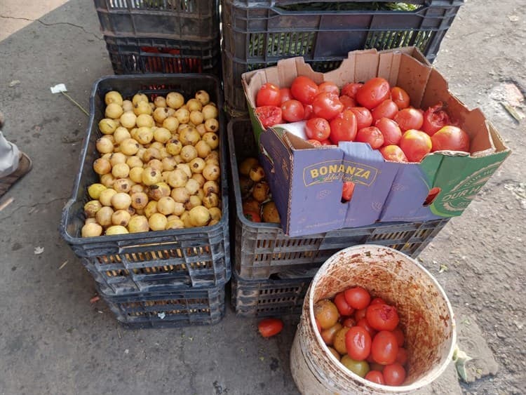 Rescatan verduras y frutas tiradas en mercados de Veracruz