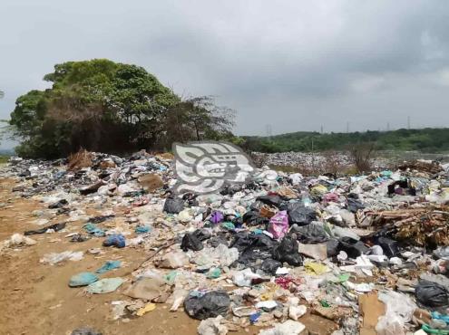 Sin reporte de incendios en basureros del Sur de Veracruz