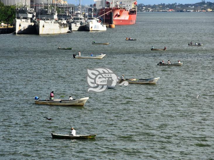 Autoridades despliegan fechas y zonas de veda para pesca de especies de camarón