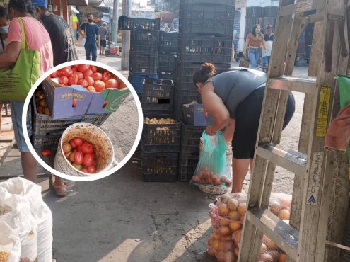 Rescatan verduras y frutas tiradas en mercados de Veracruz