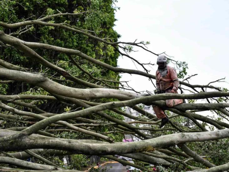 En Xalapa sigue alerta por evento de norte; tras afectaciones se suspenden eventos