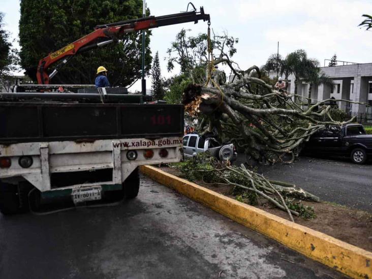 Continúa alerta por evento de norte; tras afectaciones se suspenden eventos en Xalapa