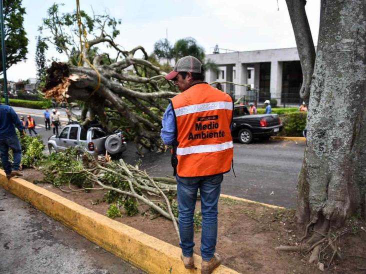 En Xalapa sigue alerta por evento de norte; tras afectaciones se suspenden eventos