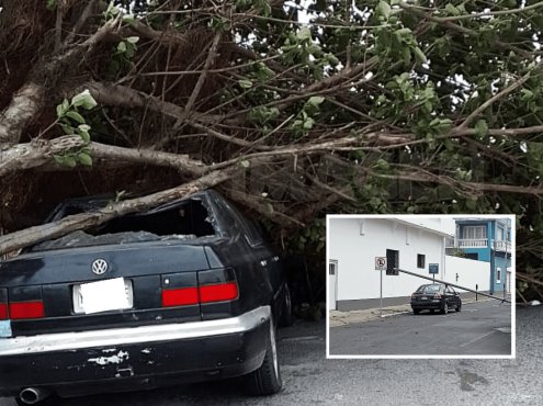Por fuertes vientos reportan árboles caídos, techos desprendidos y estructuras derribadas en Veracruz