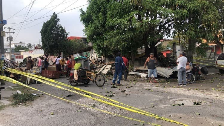 Árbol cae en casa de lámina y madera en Veracruz; norte lo derribó(+Video)