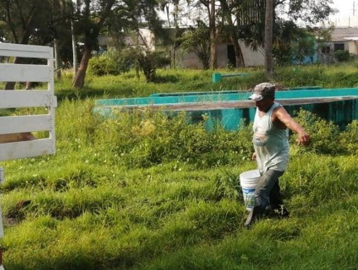 Familias de Coatzacoalcos buscan abastecerse de agua (+Video)