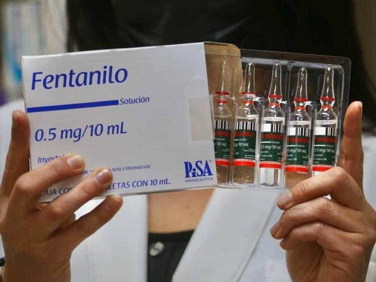 Fuerzas Armadas decomisaron más de 7 mil kilogramos de fentanilo en cuatro años