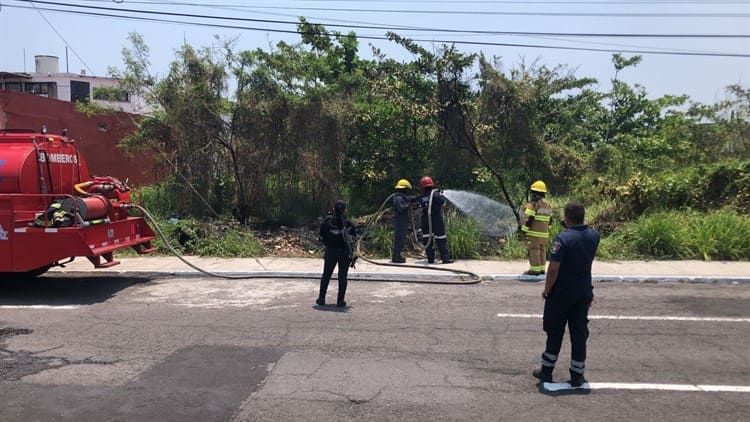 Incendio de pastizal en Veracruz moviliza a bomberos (+Video)