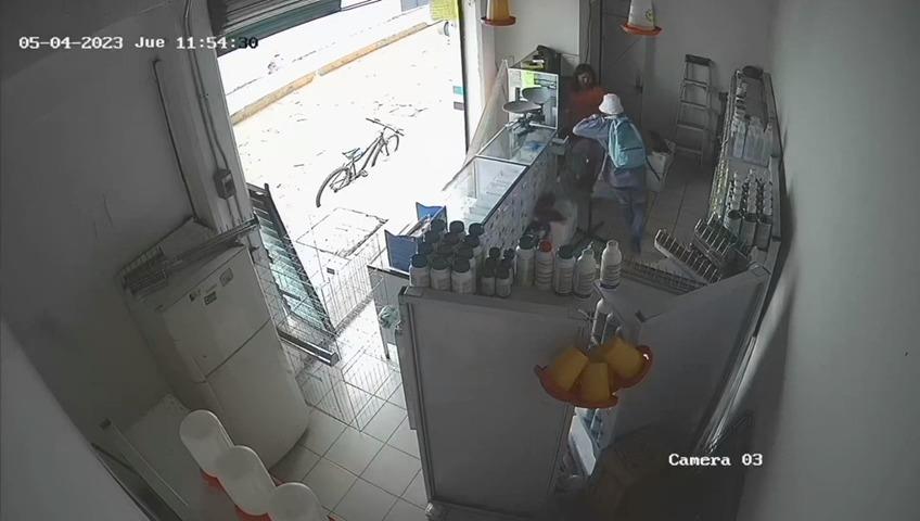 Asaltan veterinaria en pleno Centro de Misantla (+Video)