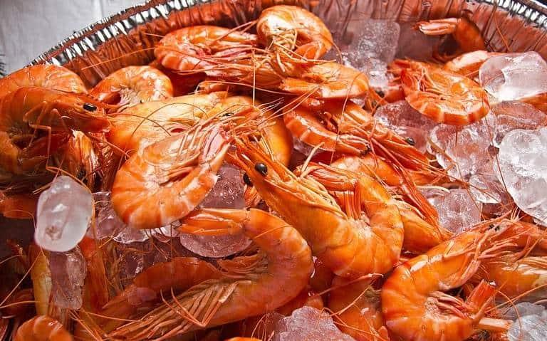 En Veracruz, pescadores temen afectaciones por veda de camarón