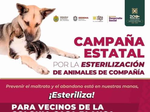 Atención, vecinos de Casa Blanca, en Xalapa, habrá jornada de esterilización animal, gratuita