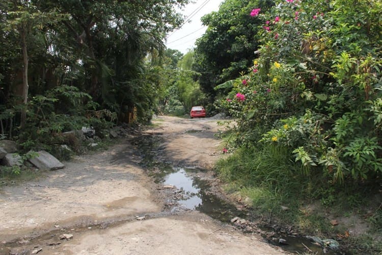 Olvidan colonias populares en Veracruz; benefician centro y zona turísticas