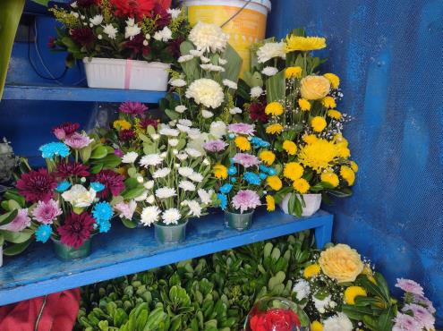 Flores incrementarán de precio por Día de las Madres en Veracruz