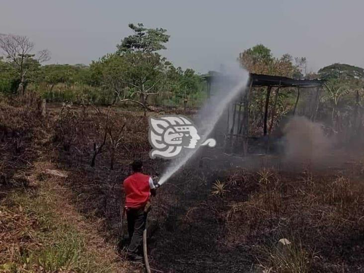 Se incendian más de 300 metros cuadrados de pastizales en Nanchital