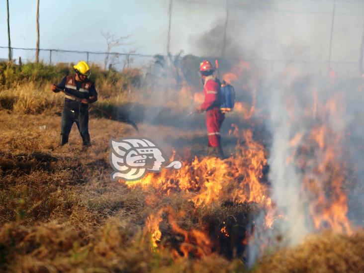 Hasta 10 años de prisión a quienes provoquen incendios forestales