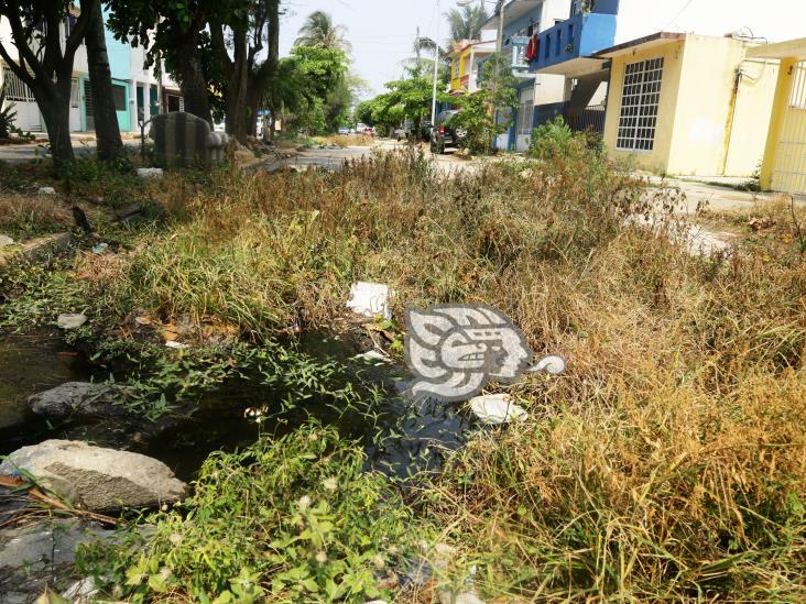 Enmontada y con aguas negras, calle olvidada por CMAS en El Tesoro