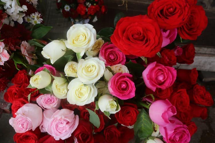 Esperan repunte en venta de flores este 10 de mayo (+video)