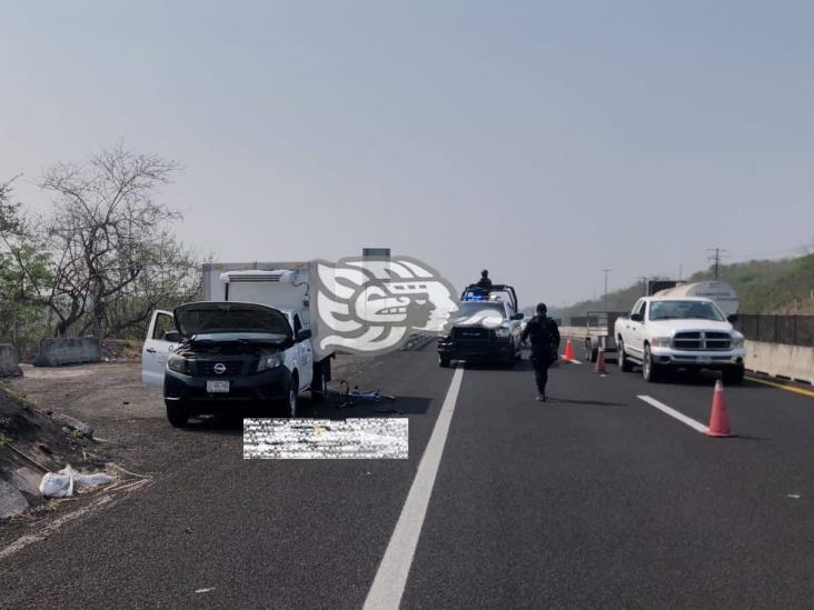 Camión atropella a ciclista en la Veracruz-Cardel (+video)