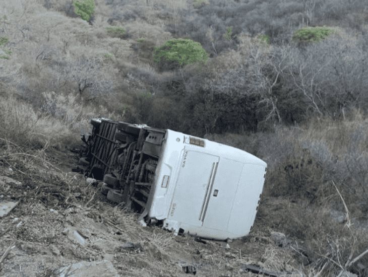 Autobús cae a barranco en Jalisco; transportaba equipo infantil de futbol