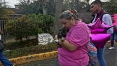 Exigen aplicación de Ley contra el maltrato animal; justicia para Sol, perrita asesinada en Xalapa (+Video)