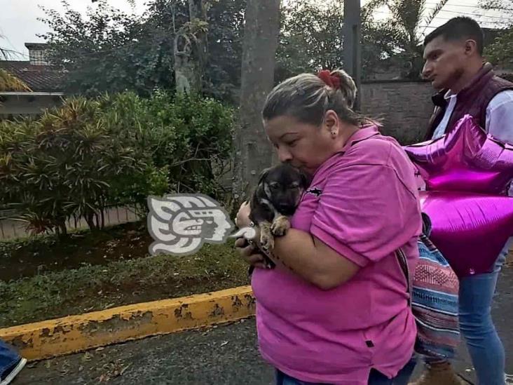 Exigen aplicación de Ley contra el maltrato animal; justicia para Sol, perrita asesinada en Xalapa (+Video)