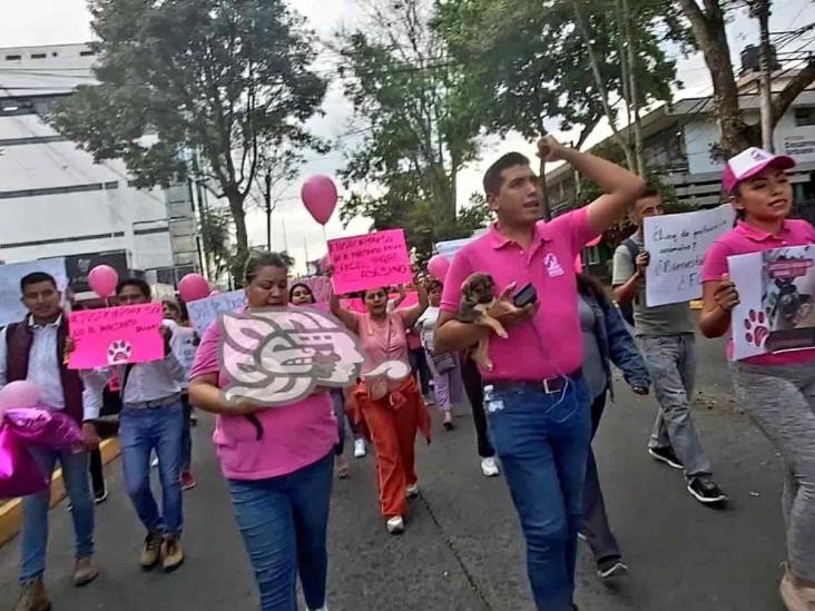 Exigen aplicación de Ley contra el maltrato animal; justicia para Sol, perrita asesinada en Xalapa (+Video)