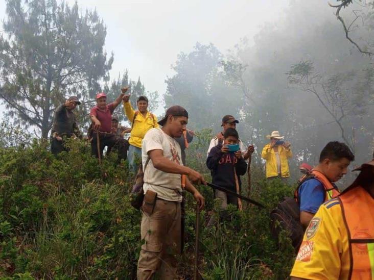 Brigadistas combaten dos incendios en la región serrana de Veracruz