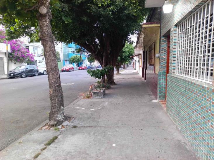 ¡Aguas! Alertan que el centro de Veracruz, una de las zonas más inseguras para vivir