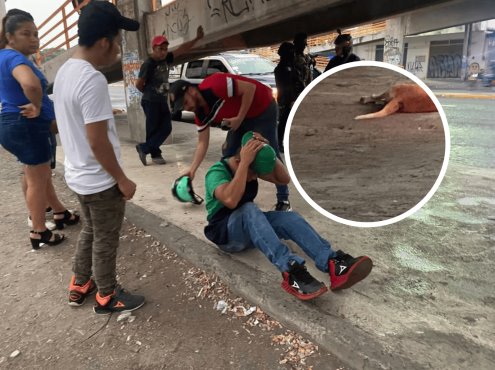 Derrapa motociclista tras atropellar a un perro en Veracruz