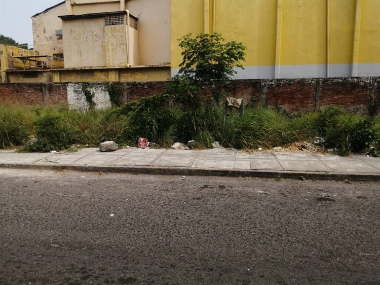 Personas en situación de calle se adueñan de lote baldío en Veracruz