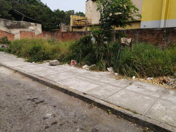 Personas en situación de calle se adueñan de lote baldío en Veracruz