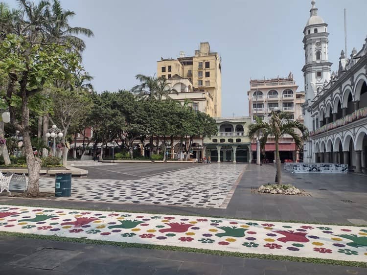 Exhiben tapetes monumentales de aserrín en Veracruz(+Video)