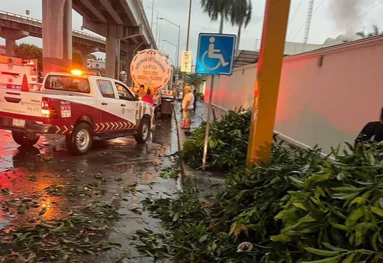 Zona Norte de Veracruz destruida; daños por tormenta en Poza Rica, Tihuatlán, Papantla, Cazones y Coatzintla