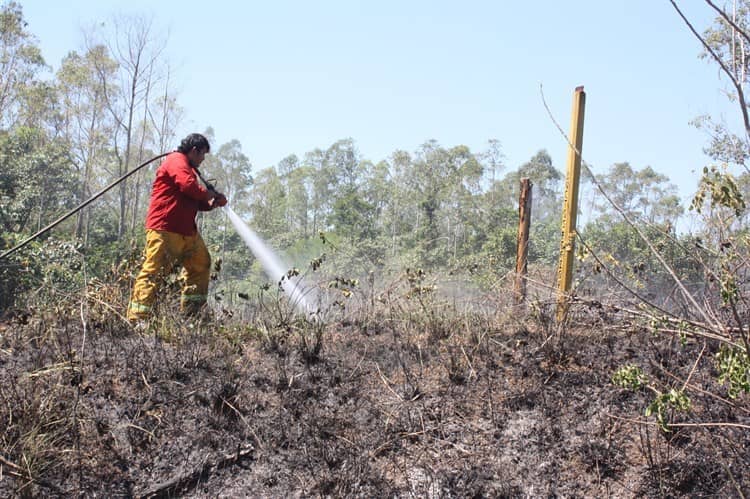 Combatirán los incendios forestales con brigadas en Las Choapas: Promueven la quema controlada