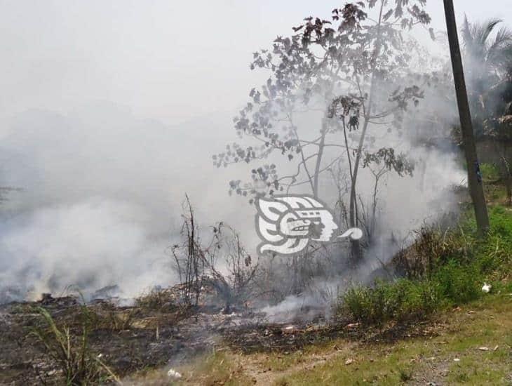 Combatirán los incendios forestales con brigadas en Las Choapas: Promueven la quema controlada