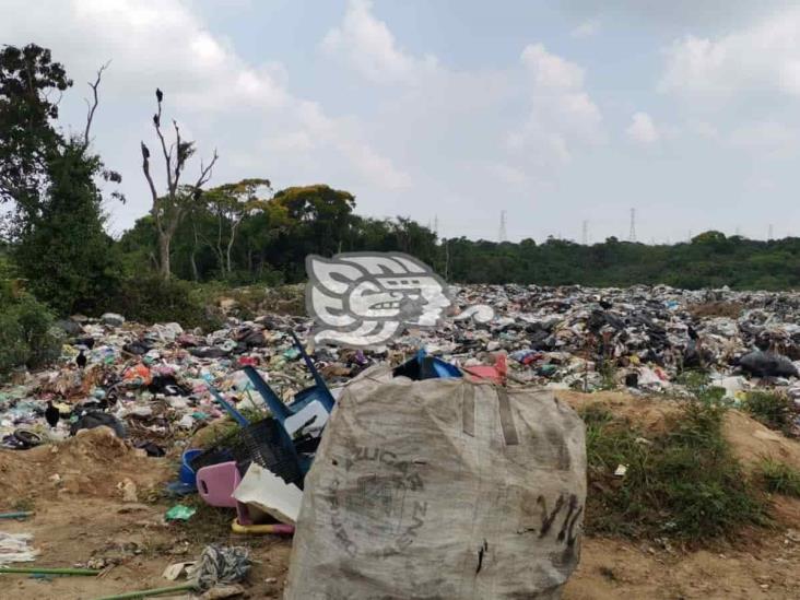 ¡Ni una bolsa más! Tiradero al aire libre en Nanchital rebosa de basura