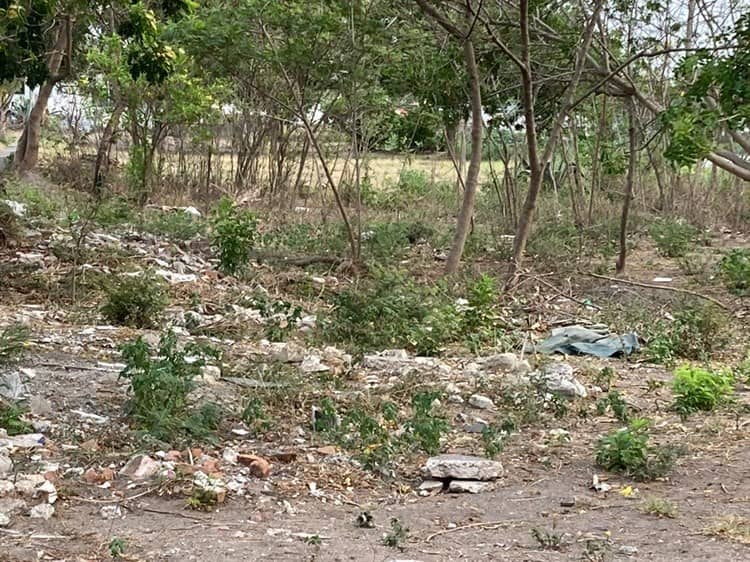 Llena de basura, llantas y muebles; así lucen lagunas de El Coyol en Veracruz